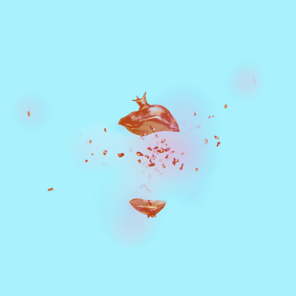 4B7E45A1-2AAE-4A37-85BC-E7C77916DFF8