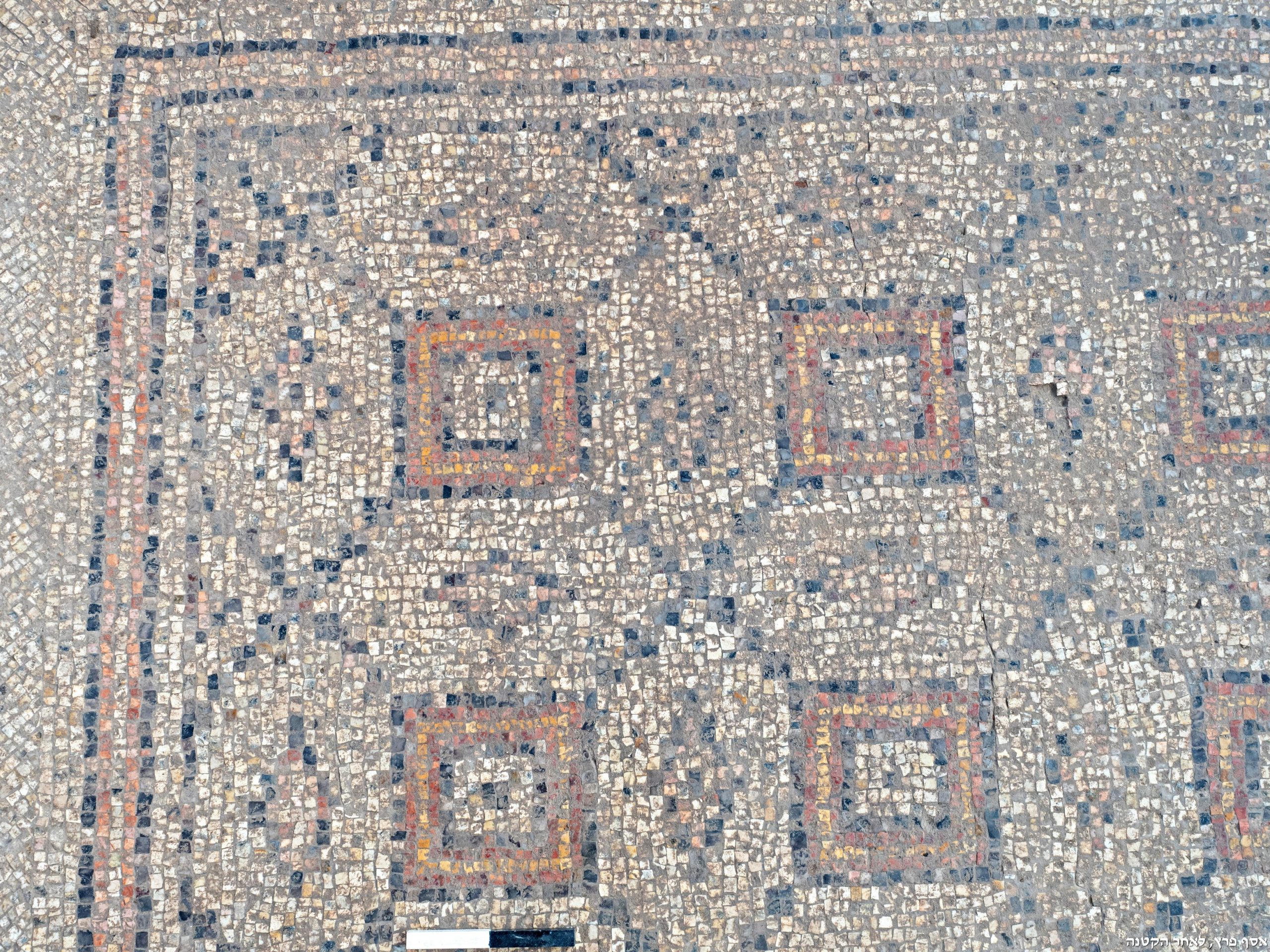 Византийская мозаика в Явне. Фото Ассаф Перец. Предоставлено Управлением древностей Израиля