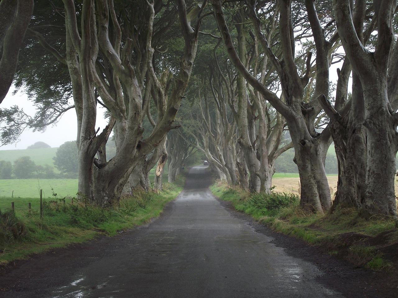«Игра престолов». Путешествие в Ирландию. Фото: pixabay/LeeOsborne