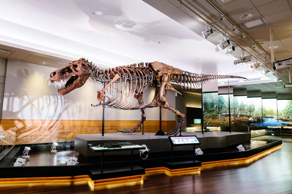 динозавр музей 